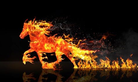 Cheval de Feu