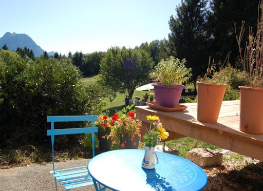 naturopathie;naturopathie Riviera des Alpes;promenades en Savoie;apprendre les plantes en savoie
