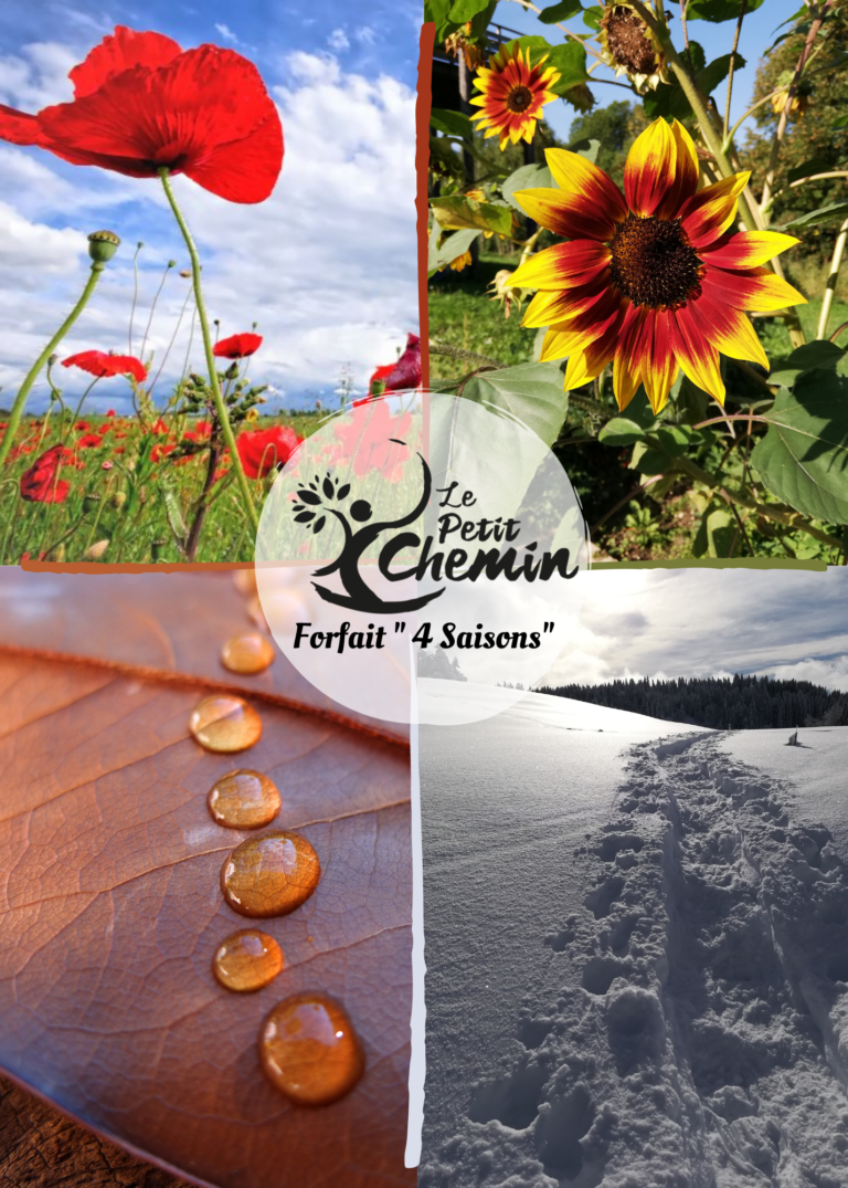 Le Petit Chemin, Forfait 4 saisons, santé, préventionShiatsu le petit Chemin, Qi gong thérapeutique, Qi gong, Jessika Desoudin, Shiatsu Laurentides, Shiatsu Val David, Qi gong Val David, Val David,shiatsu détente, shiatsu confort, shiatsu therapeutique, massage shiatsu, massothérapeute Val David, soins énergétique, Laurentides, massothérapie, FQM