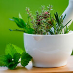 Plantes