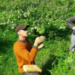 activites nature, activite le petit chemin, activites annecy, activite bauges, les mercredis de la biodiversité, goûter à la ferme, ferme padagogique dans les Bauges, goûter à la ferme, découverte des plantes, fleurs sauvages