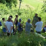 activites nature, activite le petit chemin, activites annecy, activite bauges, les mercredis de la biodiversité, goûter à la ferme, ferme padagogique dans les Bauges, goûter à la ferme, découverte des plantes, fleurs sauvages