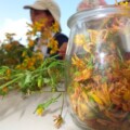 ateliers fleurs à Valloire;ateliers enfants