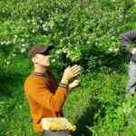 activites nature, activite le petit chemin, activites annecy, activite bauges, les mercredis de la biodiversité, goûter à la ferme, ferme padagogique dans les Bauges, goûter à la ferme, découverte des plantes, fleurs sauvages