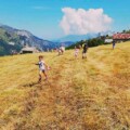 balade nature à Valloire;découvrir les fleurs à Valloire;fleurs de montagnes;balade en famille