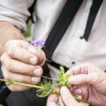 naturopathie, recette d'antant,plantes sauvages, vins et degustations, le petit chemin, activités nature en Savoie, activites nature à Aix-les Bains, apprendre les vertus des plantes, remedes de grand-mere, sante, faire son vin