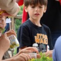 Atelier transformation des plantes
